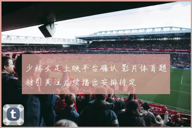 少林女足上映平台确认 影片体育题材引关注后续播出安排待定